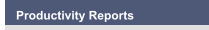 Productivity Reports