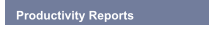Productivity Reports